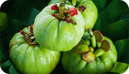 Garcinia cambogia